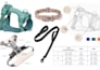 pet harness tech pack design harness designer collar tech pack designer leash